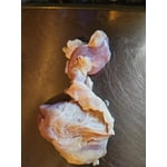Image 10 of customer photos
