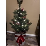 Image 3 of customer photos