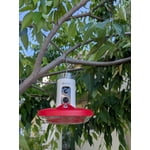 Image 8 of customer photos