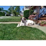 Image 4 of customer photos