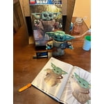 Image 8 of customer photos