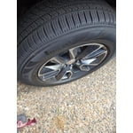 Image 3 of customer photos