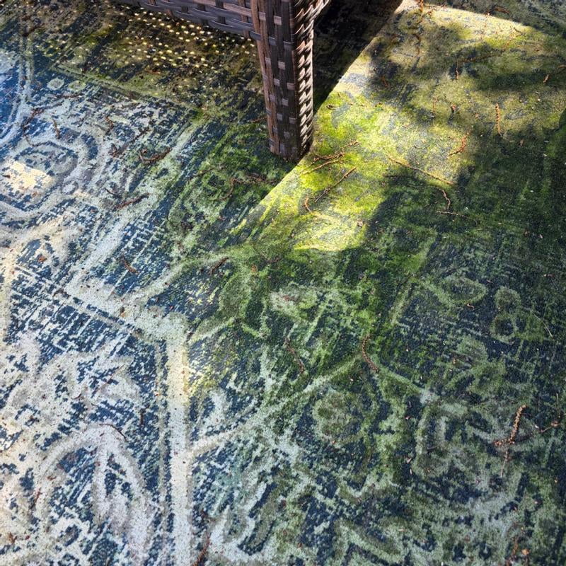 Nicole Miller New York Patio Sofia Fleur Area Rug - Samsclub.com