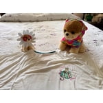 Image 5 of customer photos
